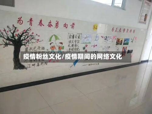 疫情粉丝文化/疫情期间的网络文化