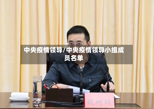 中央疫情领导/中央疫情领导小组成员名单