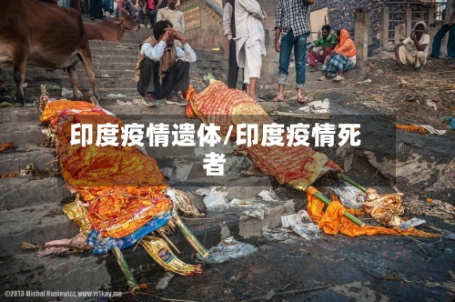 印度疫情遗体/印度疫情死者