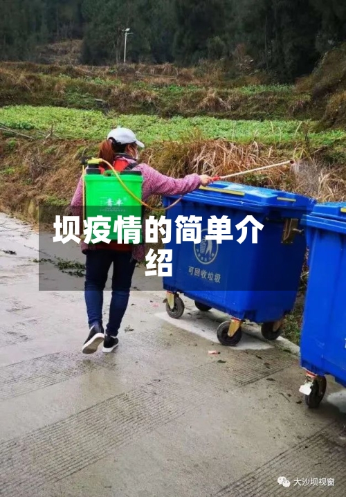 坝疫情的简单介绍