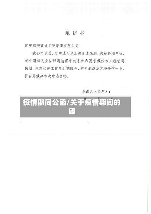 疫情期间公函/关于疫情期间的函