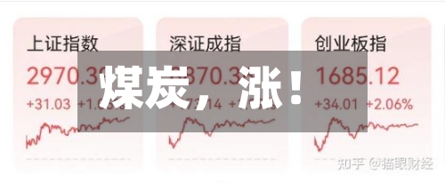 煤炭，涨！