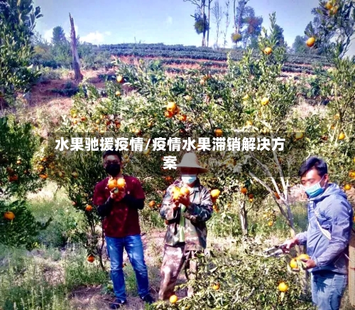 水果驰援疫情/疫情水果滞销解决方案