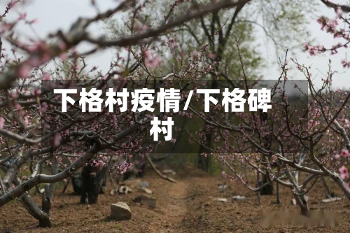 下格村疫情/下格碑村