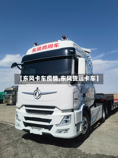 【东风卡车疫情,东风货运卡车】