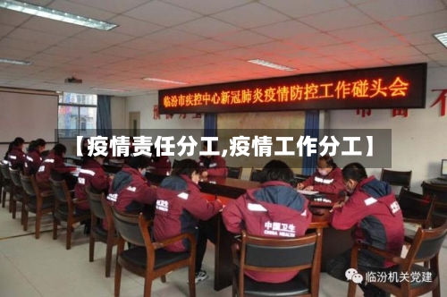 【疫情责任分工,疫情工作分工】