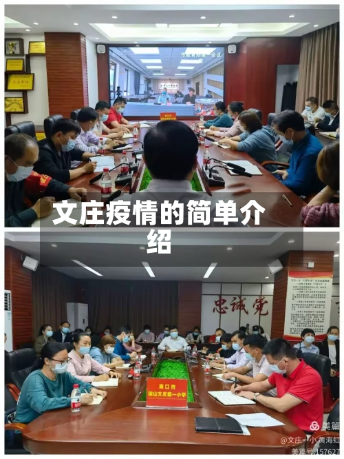 文庄疫情的简单介绍