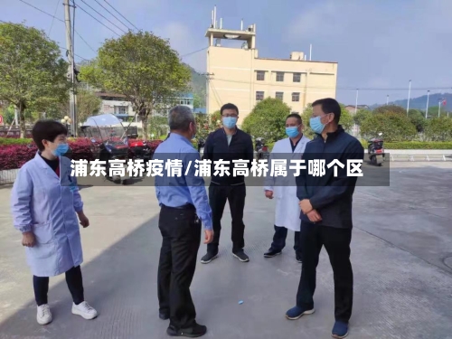 浦东高桥疫情/浦东高桥属于哪个区