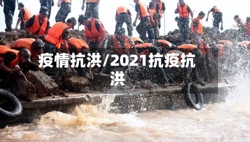 疫情抗洪/2021抗疫抗洪