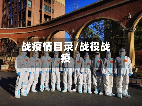 战疫情目录/战役战疫