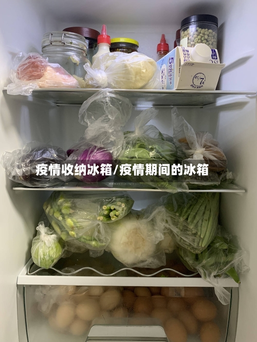 疫情收纳冰箱/疫情期间的冰箱