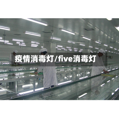 疫情消毒灯/five消毒灯