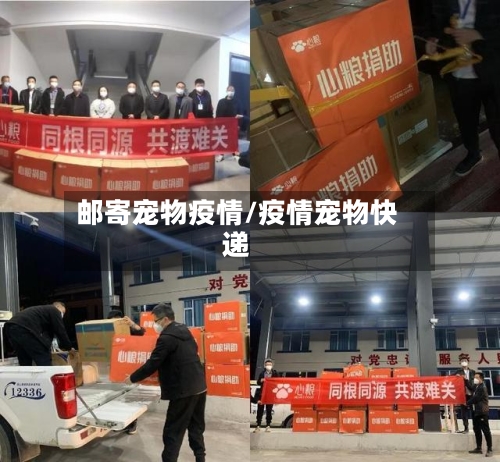 邮寄宠物疫情/疫情宠物快递