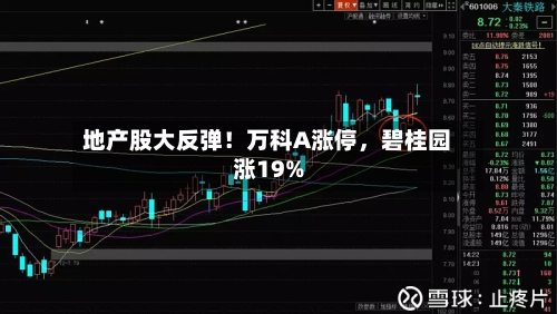地产股大反弹！万科A涨停，碧桂园涨19%