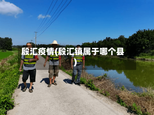 殷汇疫情(殷汇镇属于哪个县)