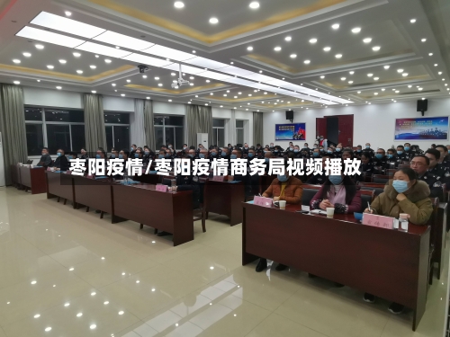 枣阳疫情/枣阳疫情商务局视频播放