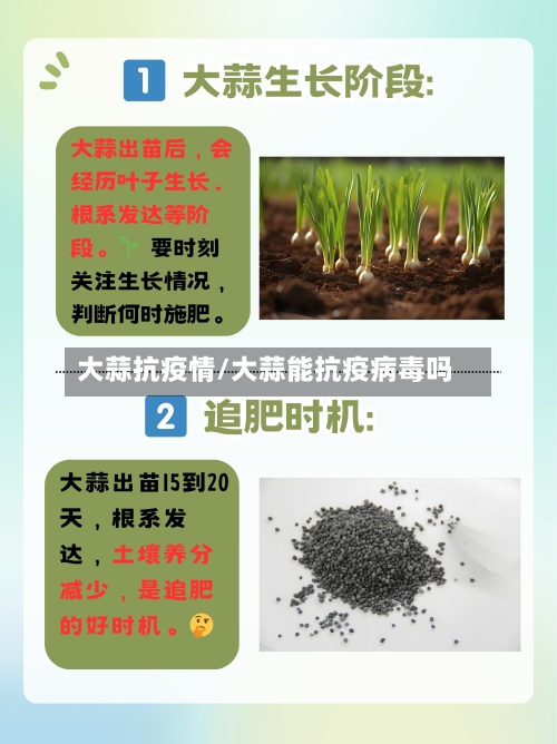 大蒜抗疫情/大蒜能抗疫病毒吗