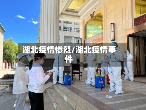 湖北疫情惨烈/湖北疫情事件