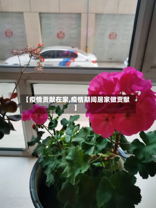 【疫情贡献在家,疫情期间居家做贡献】