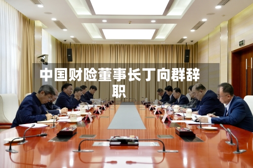 中国财险董事长丁向群辞职