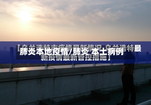 肺炎本地疫情/肺炎 本土病例