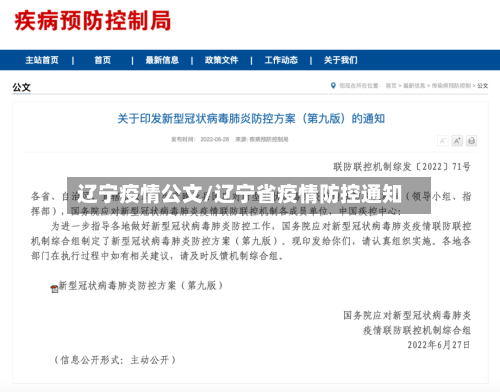 辽宁疫情公文/辽宁省疫情防控通知