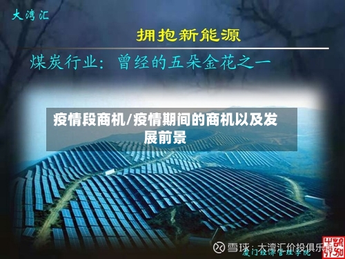疫情段商机/疫情期间的商机以及发展前景
