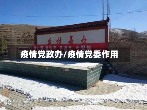 疫情党政办/疫情党委作用