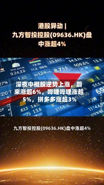深夜中概股逆势上涨，蔚来涨超6%，哔哩哔哩涨超5%，拼多多涨超3%