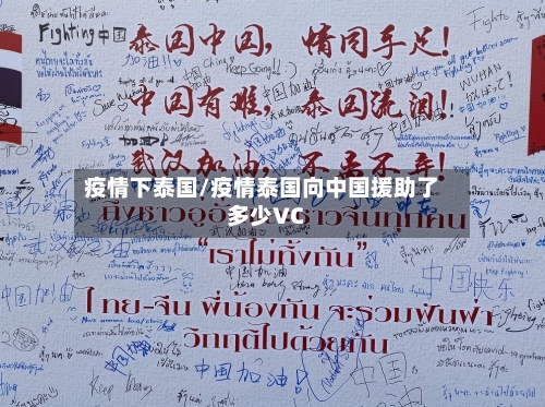 疫情下泰国/疫情泰国向中国援助了多少VC