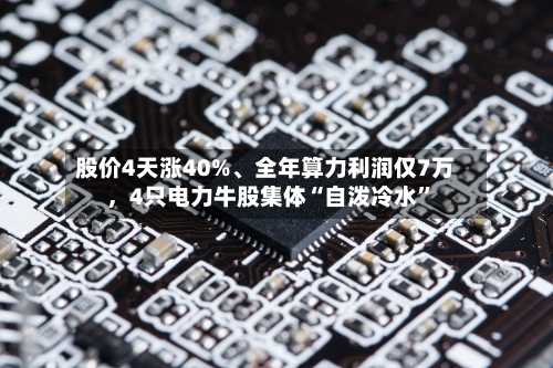 股价4天涨40%、全年算力利润仅7万，4只电力牛股集体“自泼冷水”
