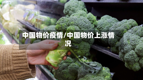 中国物价疫情/中国物价上涨情况