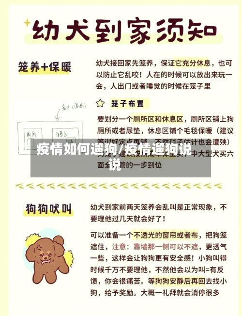疫情如何遛狗/疫情遛狗说说