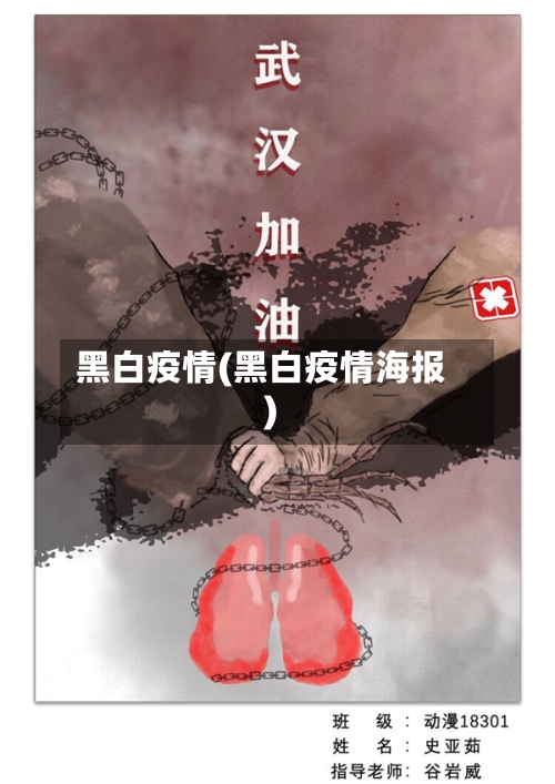 黑白疫情(黑白疫情海报)