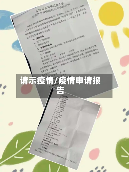 请示疫情/疫情申请报告