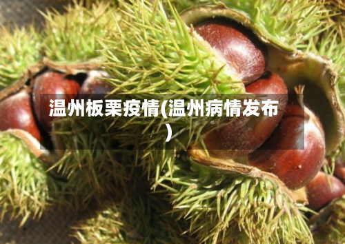 温州板栗疫情(温州病情发布)