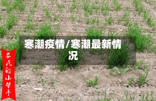 寒潮疫情/寒潮最新情况
