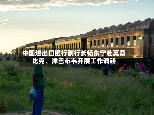 中国进出口银行副行长杨东宁赴莫桑比克、津巴布韦开展工作调研