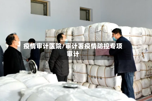 疫情审计医院/审计署疫情防控专项审计