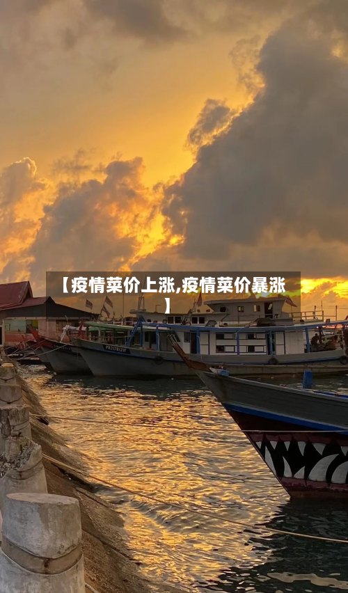 【疫情菜价上涨,疫情菜价暴涨】