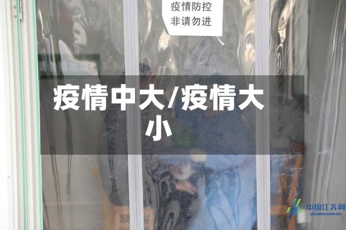 疫情中大/疫情大小