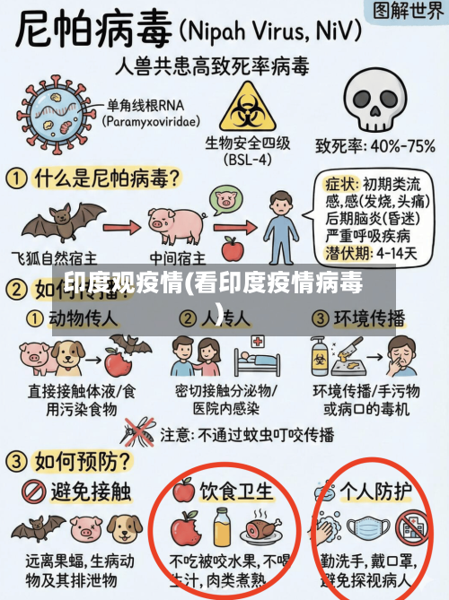 印度观疫情(看印度疫情病毒)