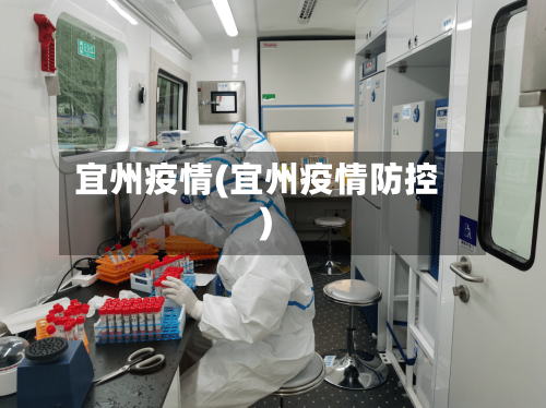 宜州疫情(宜州疫情防控)