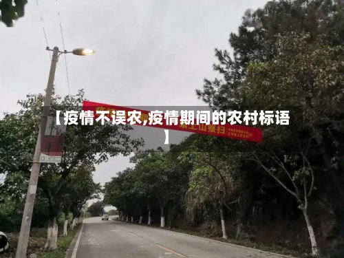 【疫情不误农,疫情期间的农村标语】