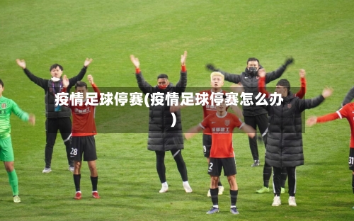 疫情足球停赛(疫情足球停赛怎么办)