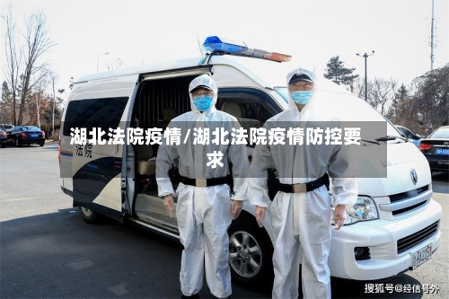 湖北法院疫情/湖北法院疫情防控要求