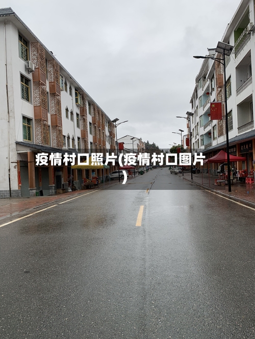 疫情村口照片(疫情村口图片)