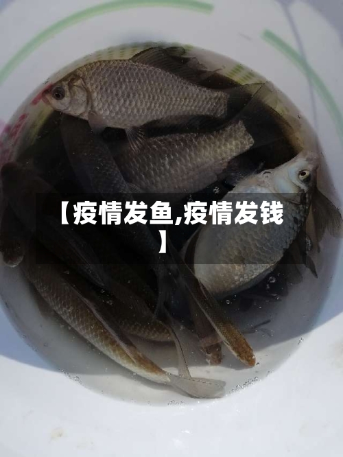 【疫情发鱼,疫情发钱】