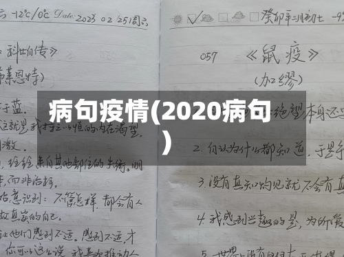 病句疫情(2020病句)