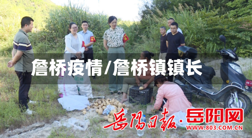 詹桥疫情/詹桥镇镇长